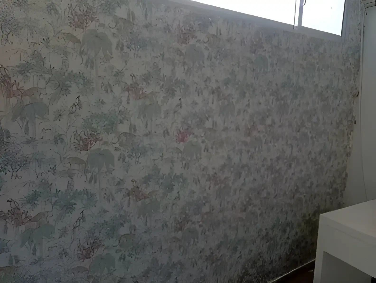 Los Pintores Leganés colocando papel pintado decorativo en pared completa de habitación